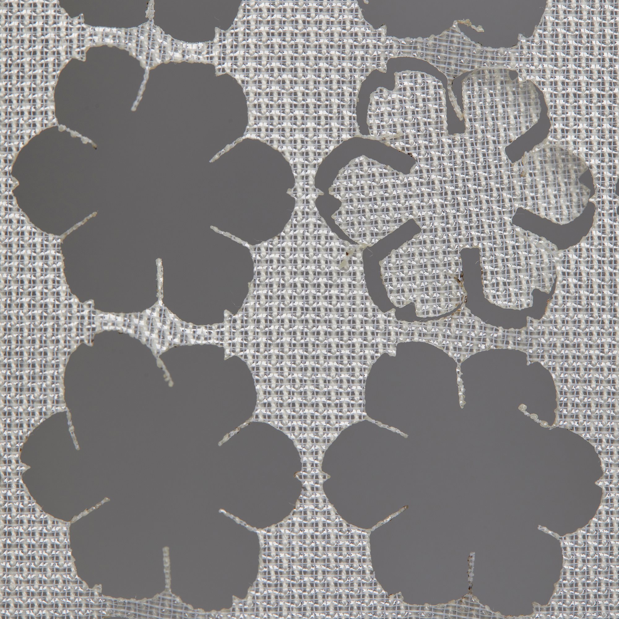 ls0000005-2.jpg
